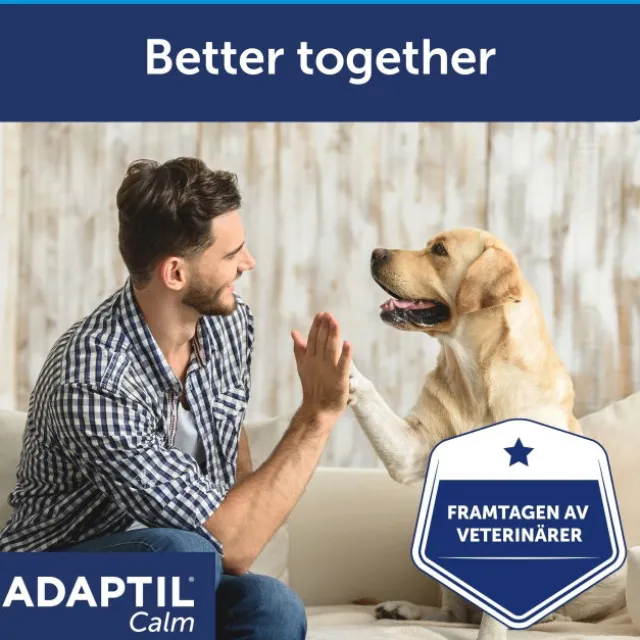 Adaptil Refill 48 ml