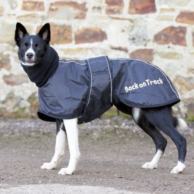 Back on Track Hundtäcke Whippet Svart