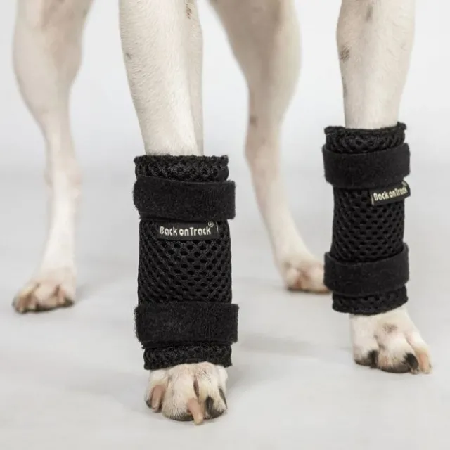 Back on Track Milo Benskydd till Hund 2-pack