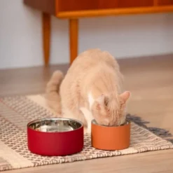 Basic DoubleWall Hundskål/Kattskål Brun 400 ml