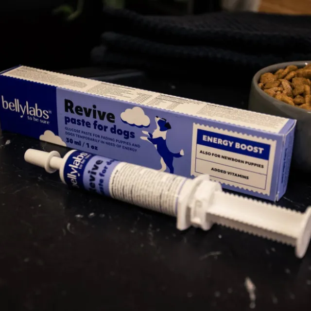 Bellylabs Revive Energy Boost paste för Hund 30 ml