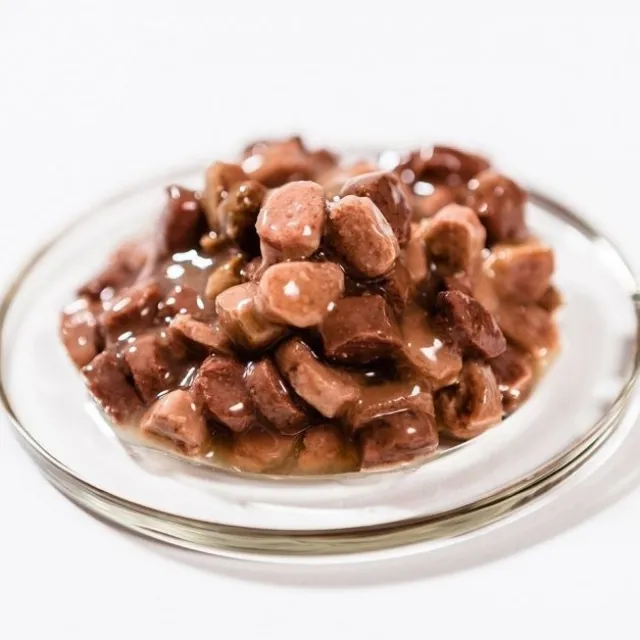 Brit Premium Salmon & Trout Chunks in gravy Adult 100 g