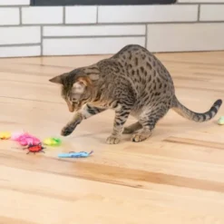 Catstages Cute As A Bug Insekter 6-pack
