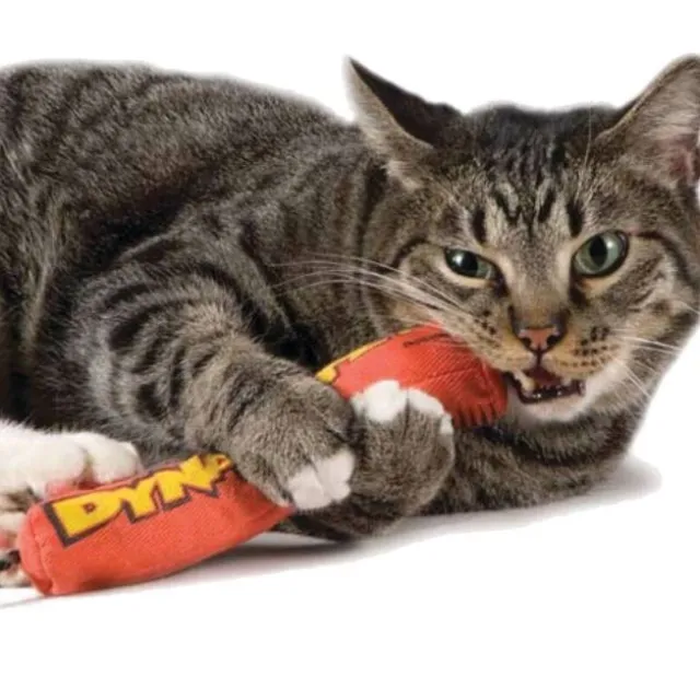 Catstages Green Magic Dynamite 23,5 cm
