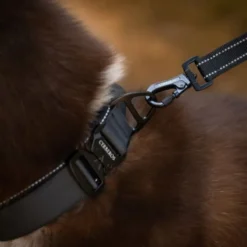 Cerberos Hundkoppel 3 m Svart