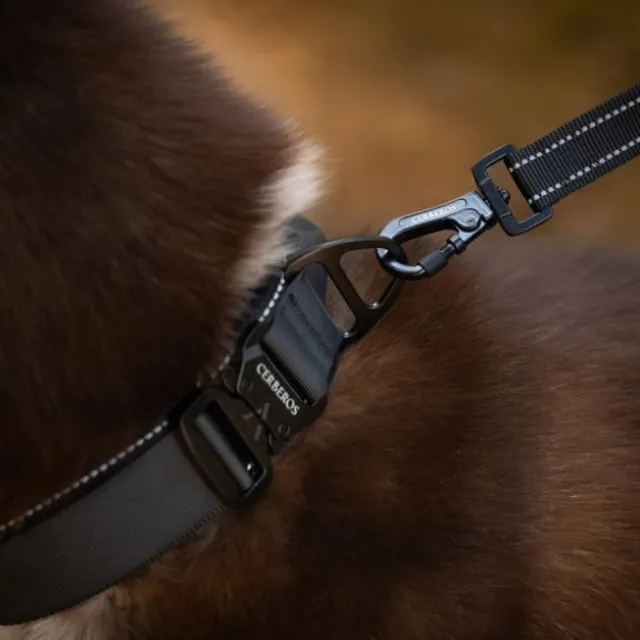 Cerberos Hundkoppel 3 m Svart