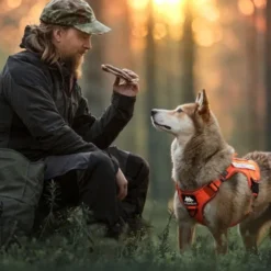 Cerberos Tactical Hundsele Orange