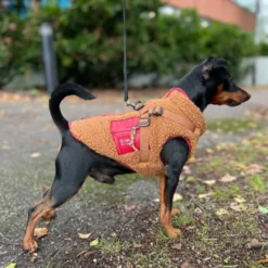 51 Degrees North Jules Kombinerad Hundjacka och Hundsele Brun
