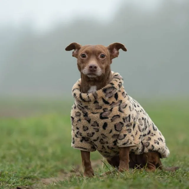 51 Degrees North Turtle Teddy Hundtröja Leopard