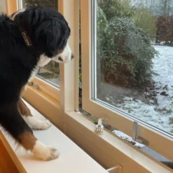 DogSpace Startkit för att Valpsäkra hemmet