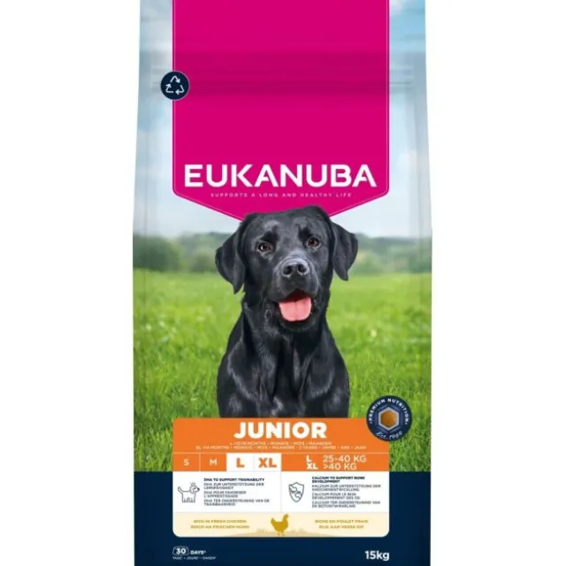 Eukanuba Dog Junior Large Breed Chicken