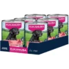 Eukanuba Dog Senior Beef with Pumpkin 400 g