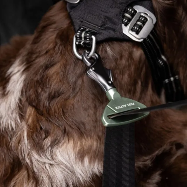 Feel Active Bilbälte till Hund Fäste till Säkerhetsbälte