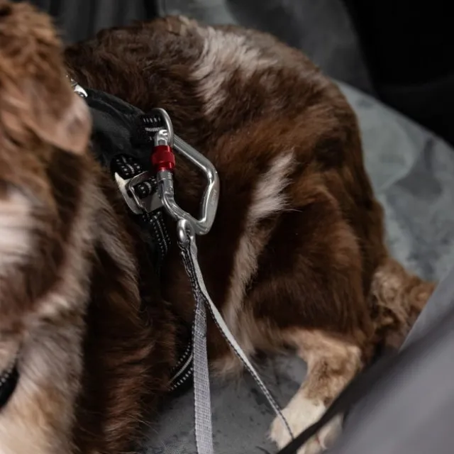 Feel Active Heavy Duty Bilbälte till Hund