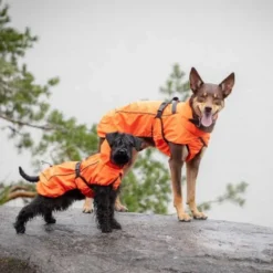 Feel Active Reflective Regnjacka Orange