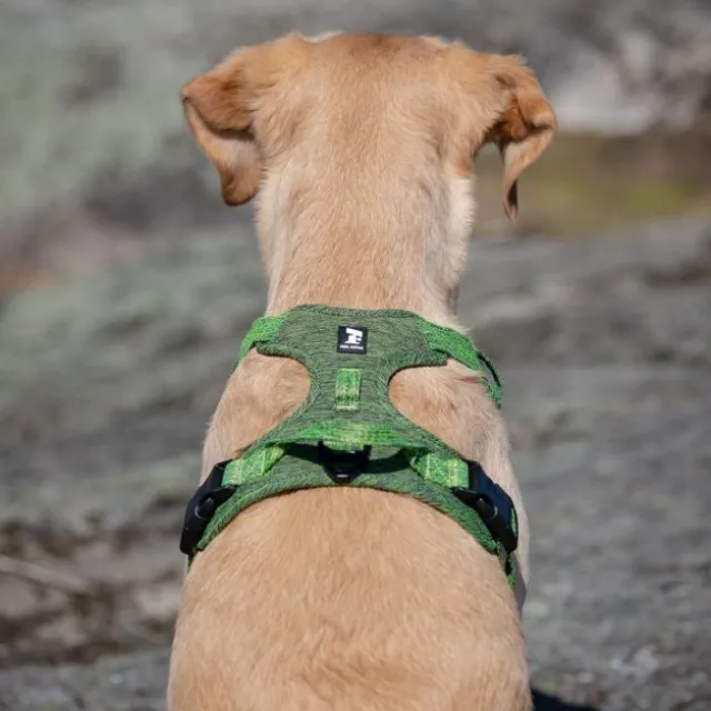 Feel Active Training Hundsele Grön