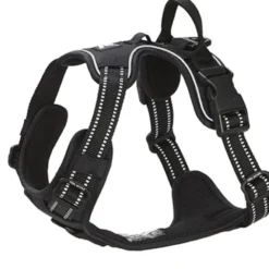 Feel Active Training Hundsele Svart