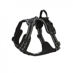 Feel Active Training Hundsele Svart