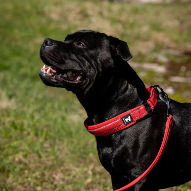 Feel Active Vadderat Hundhalsband Halvstryp Röd