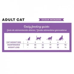 Harper&Bone Cat Adult Ocean Wonders