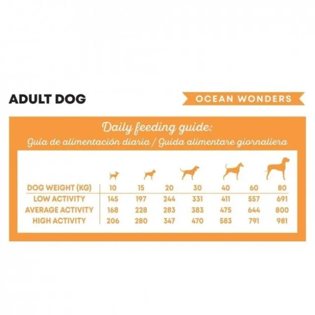 Harper&Bone Dog Adult Medium/Large Ocean Wonders
