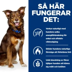 Hill's Prescription Diet Canine Metabolic Weight Loss & Maintenace Lamb & Rice