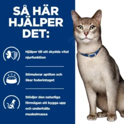 Hill's Prescription Diet Feline k/d Kidney Care Chicken