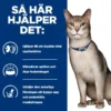 Hill's Prescription Diet Feline k/d Kidney Care Beef 12x85 g