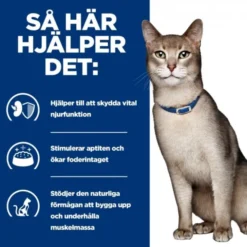 Hill's Prescription Diet Feline k/d Kidney Care Chicken 12x85 g