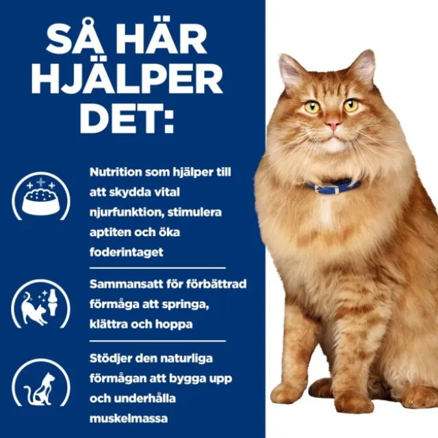 Hill's Prescription Diet Feline k/d j/d Kidney + Mobility Chicken 12x85 g