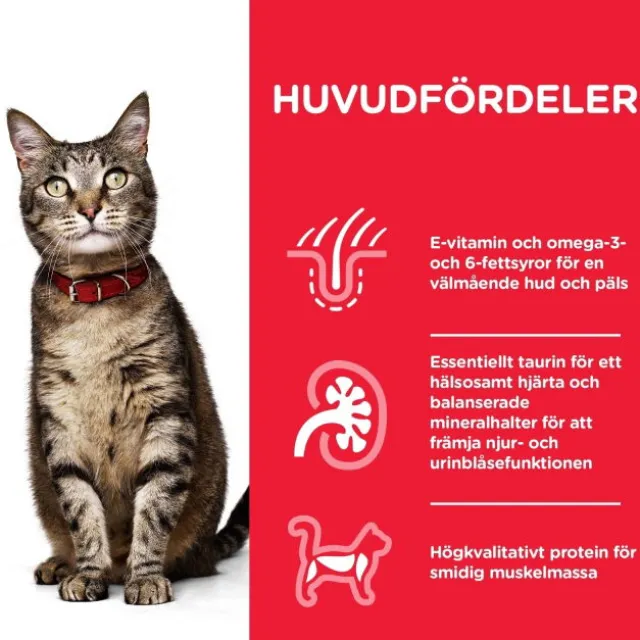 Hill's Science Plan Cat Adult Chicken