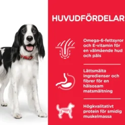 Hill's Science Plan Dog Adult Beef 370 g