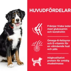 Hill's Science Plan Dog Adult Large Breed Chicken
