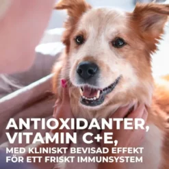 Hill's Science Plan Dog Adult 6+ Senior Vitality Large Breed Chicken 14 kg