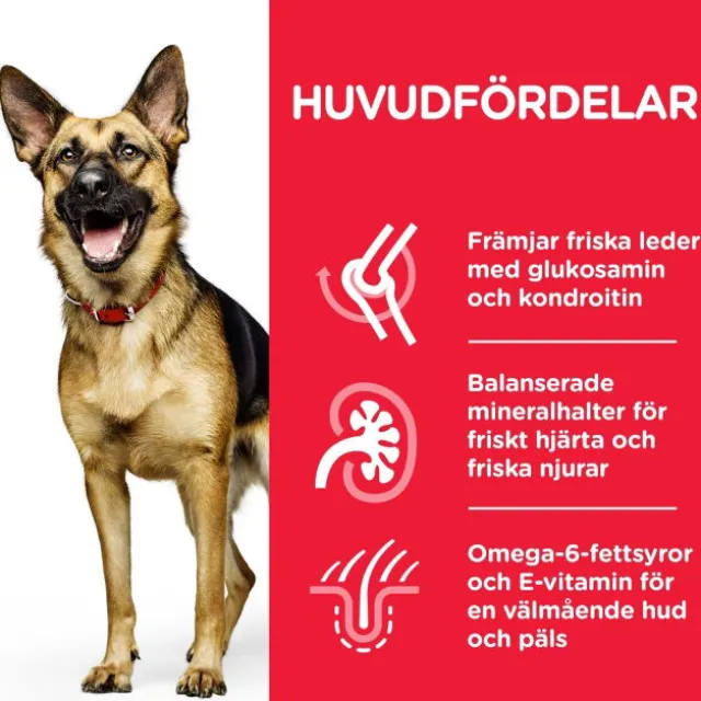Hill's Science Plan Dog Mature Adult 6+ Large Breed Chicken 14 kg