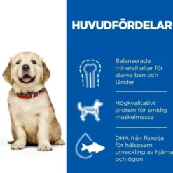 Hill's Science Plan Dog Puppy Large Breed