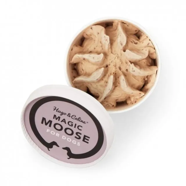 Hugo & Celine Magic Moose
