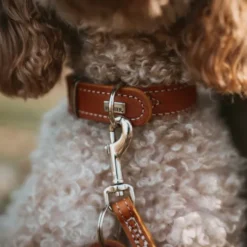 Hunter Aalborg Hundhalsband Läder Brun