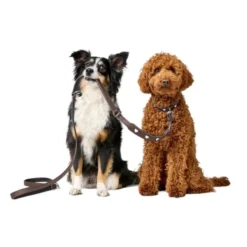 Hunter Hundhalsband Läder Love Brun