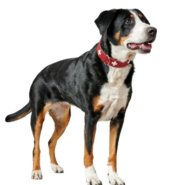 Hunter Hundhalsband Läder Swiss Röd