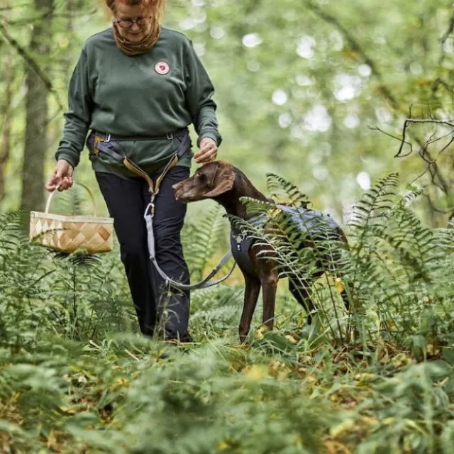 Hurtta Expedition ECO Hundförarbälte Grå