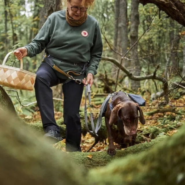 Hurtta Expedition ECO Hundförarbälte Grå