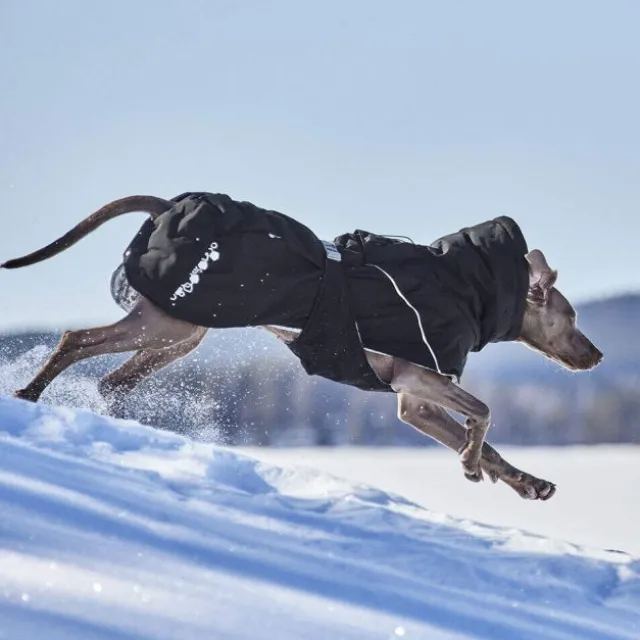 Hurtta Extreme Warmer III ECO Hundjacka Svart