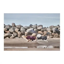 Hurtta Mudventure ECO Regnjacka Hund Svart