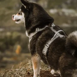 Hurtta Venture No-Pull Hundsele Grå