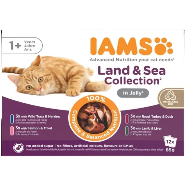 Iams Cat Adult Advanced Nutrition Land & Sea Collection in Jelly Multipack 12x85 g