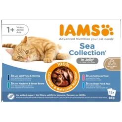 Iams Cat Adult Advanced Nutrition Sea Collection in Jelly Multipack 12x85 g