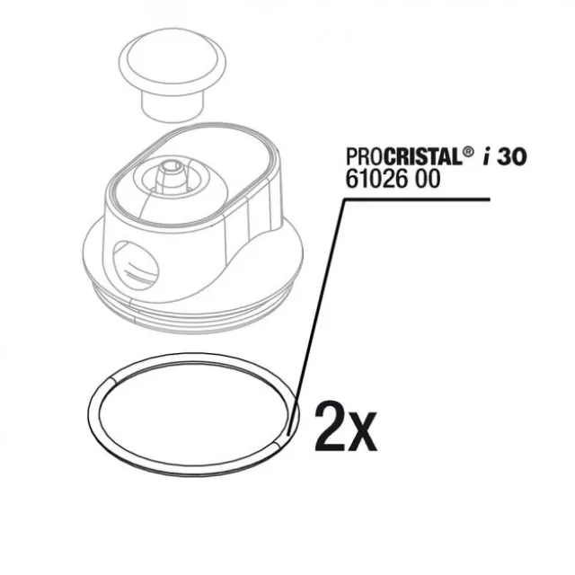 JBL ProCristal i30 O-Ring 2-pack