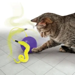 KONG Cat Purrsuit Whirlwind