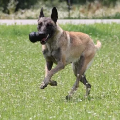 KONG Extreme Svart